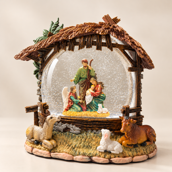 Nacimiento de Palma de Agua con Nieve